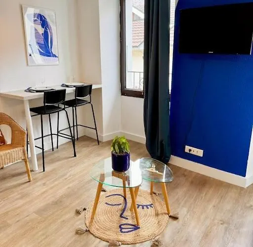 Studio Milos Cosy Hypercentre Historique Thonon