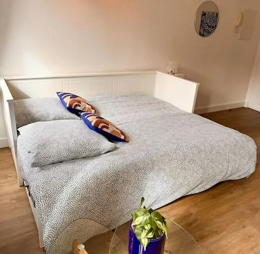 Studio Milos Cosy Hypercentre Historique Thonon